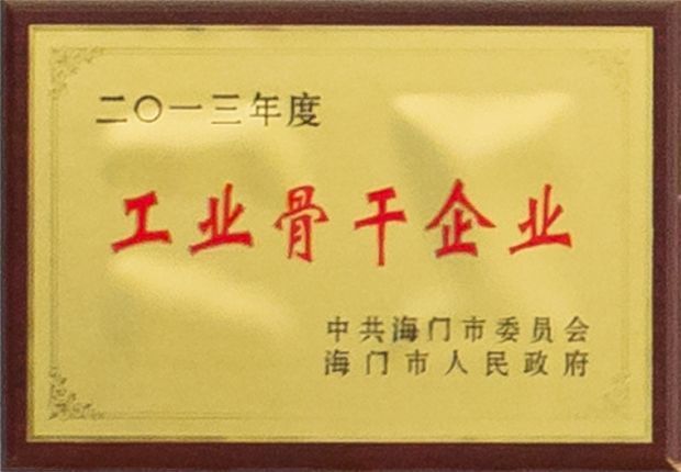 2013年度工業(yè)骨干企業(yè) 2013年度工業(yè)骨干企業(yè)