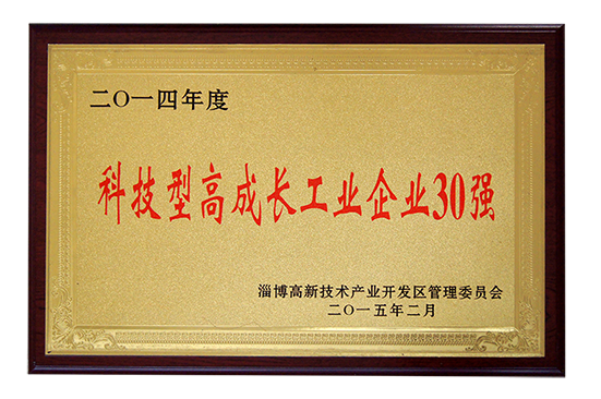 2014年科技型高成长工业企业30强