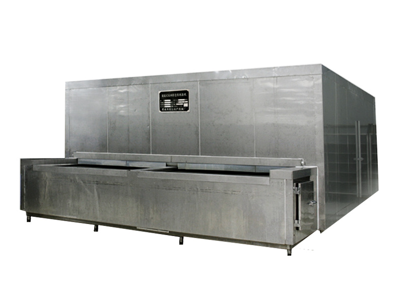 SWD Series Tunnel Mesh Belt Continuous Quick Freezer