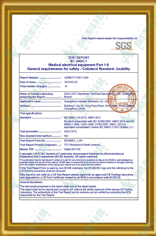 SGS International Medical Device Certification (4)