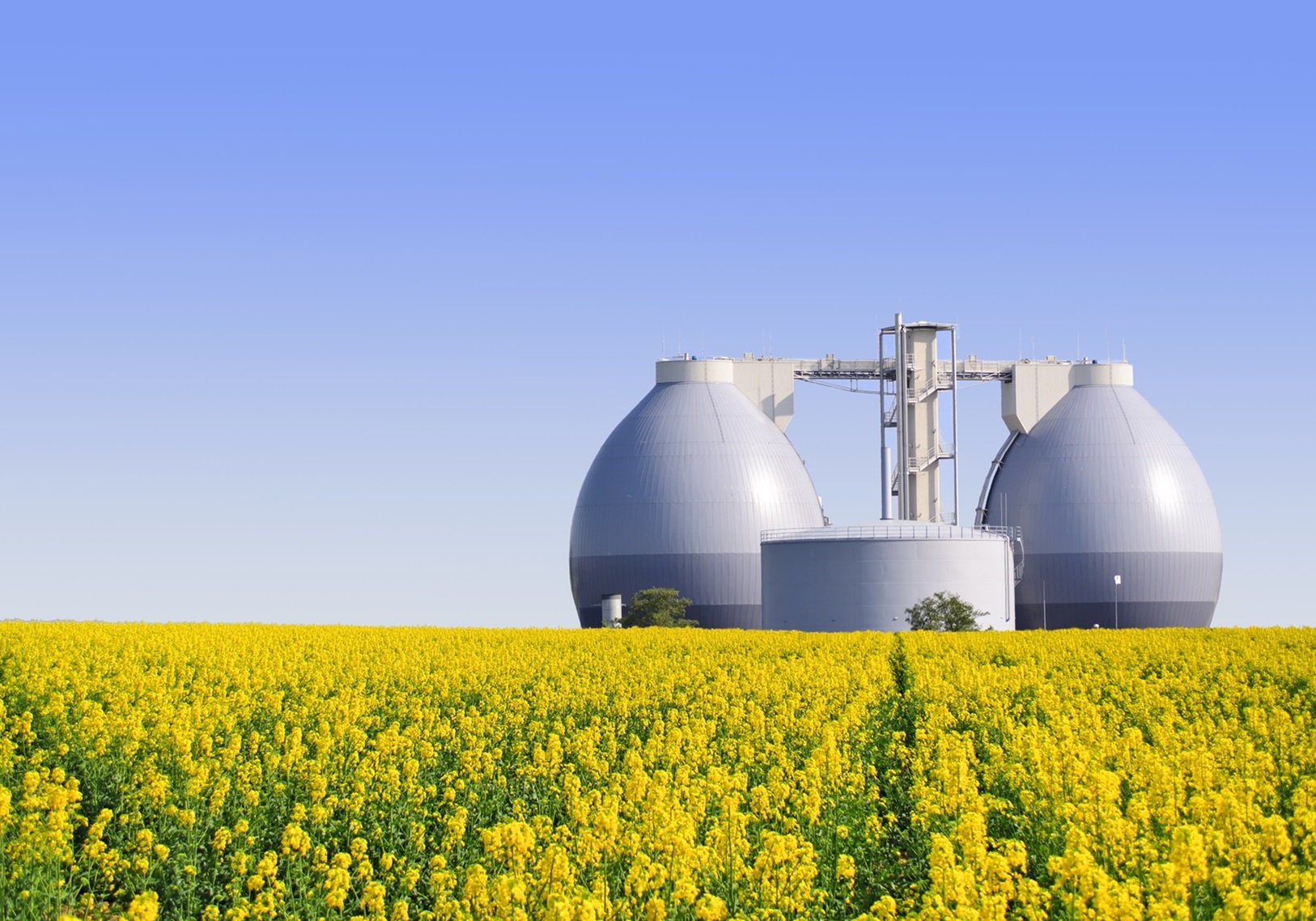 Biogas Treatment