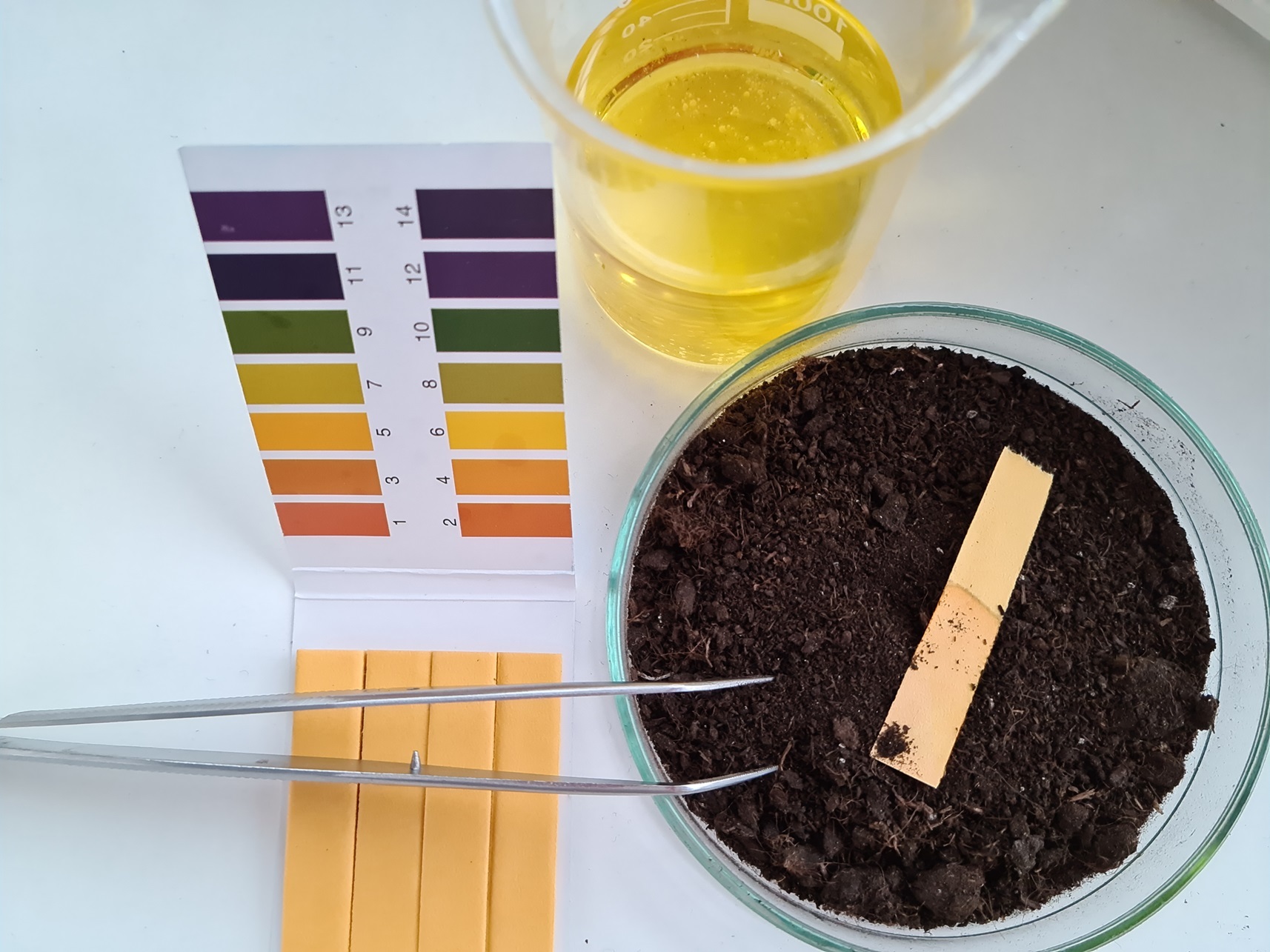 Soil Remediation