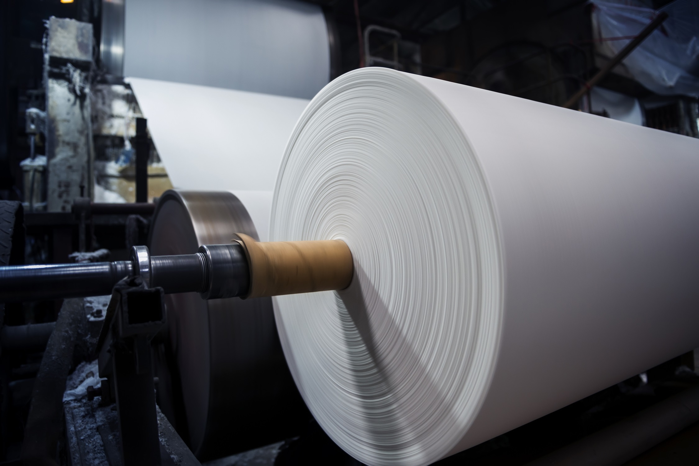 Pulp & Paper
