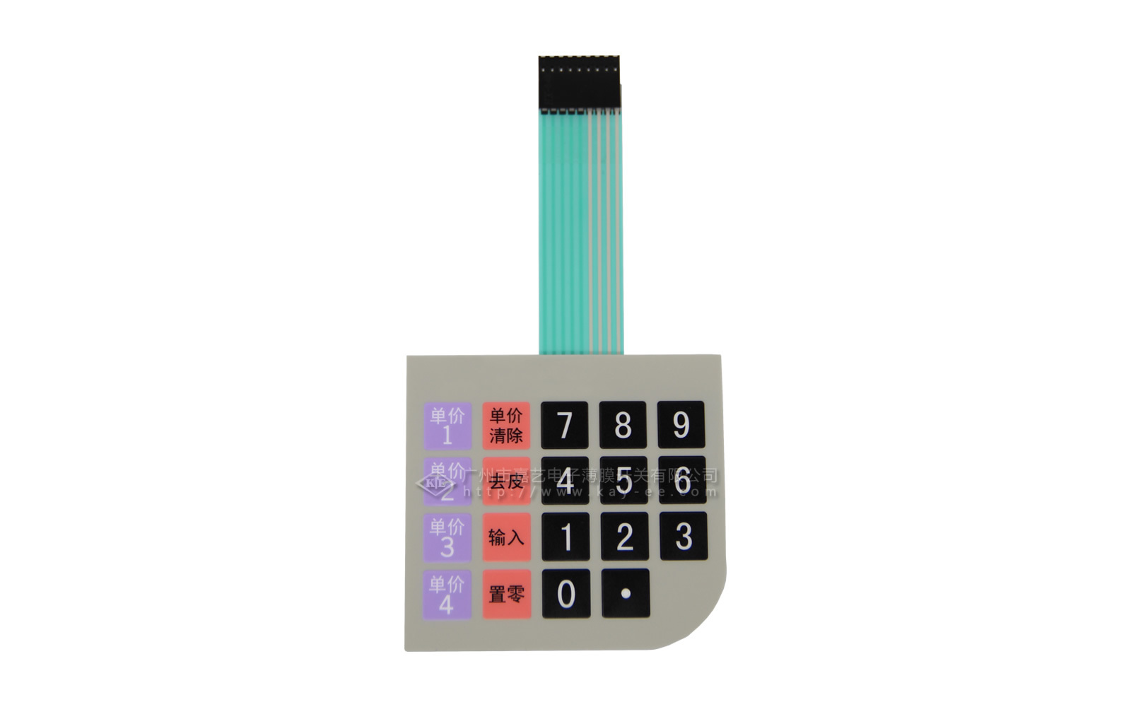Raised tactile switch