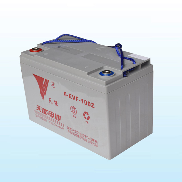 天能電池 6-EVF-100Z
