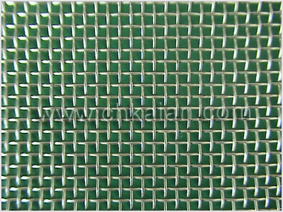 Painted net current collector