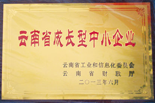 云南省成長型中小企業