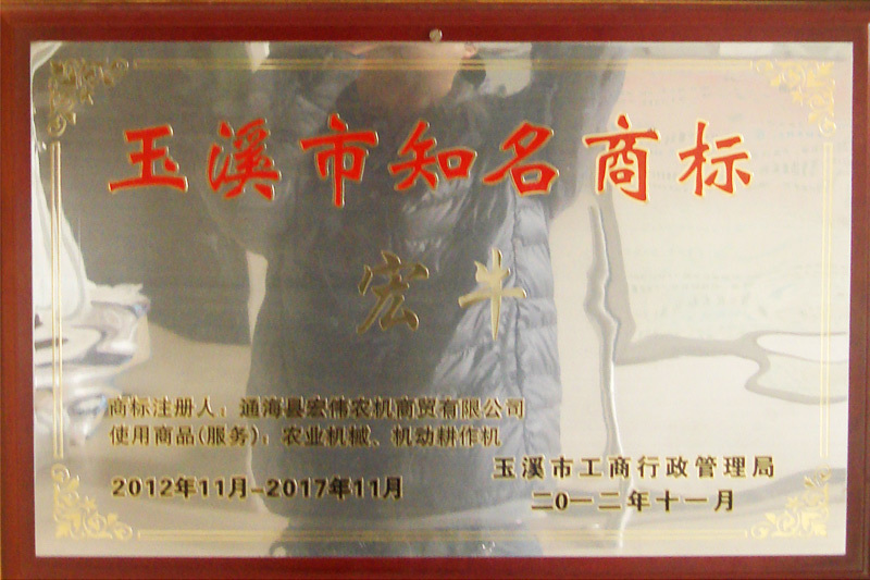 玉溪市知名商標
