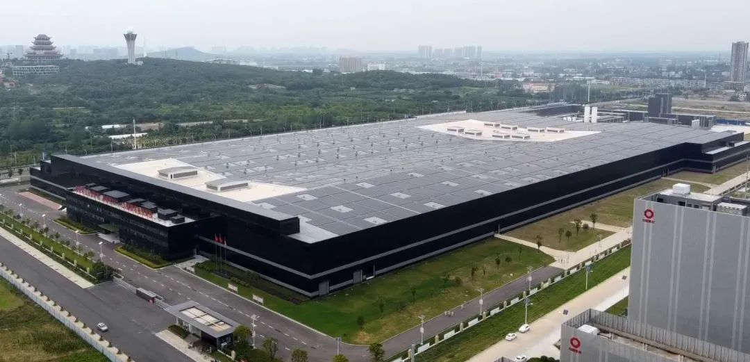 铆足虎劲开新局，与中国奥运健儿一起向未来