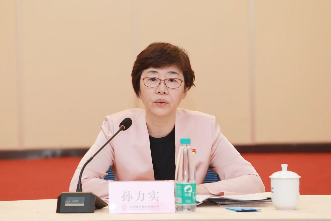 中國建材集團召開黨建工作座談會