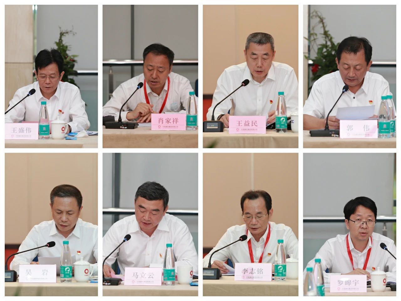 中國建材集團召開黨建工作座談會
