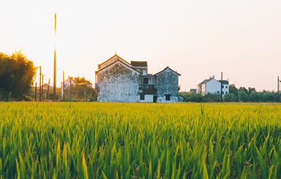 高标准农田建设