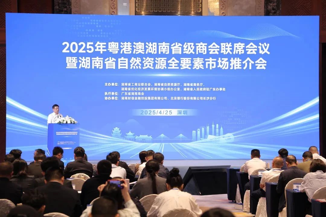 2025超好看的手机墙纸