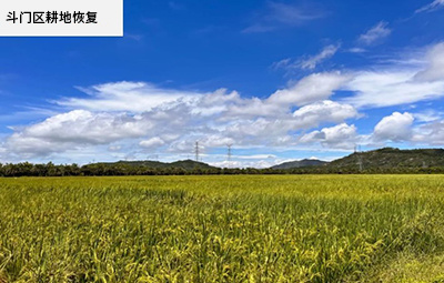 全国土地日