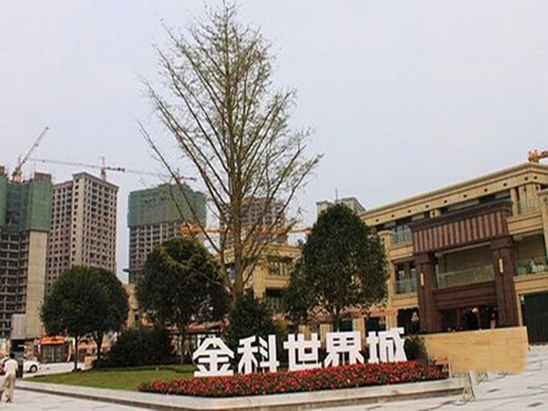 郴州金科世界城