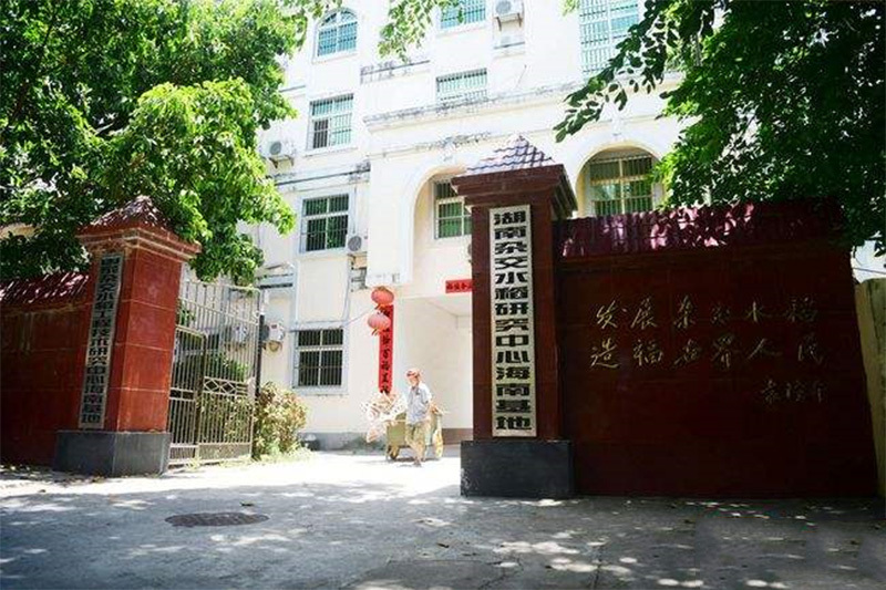 國家雜交水稻工程技術研究中心三亞南繁綜合試驗基地