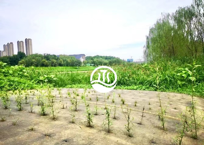 丞海水務(wù)