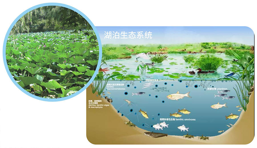 丞海水务
