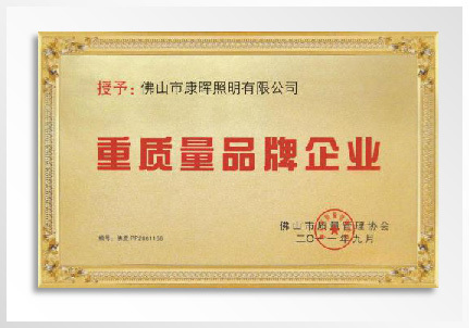 荣誉证书(1)