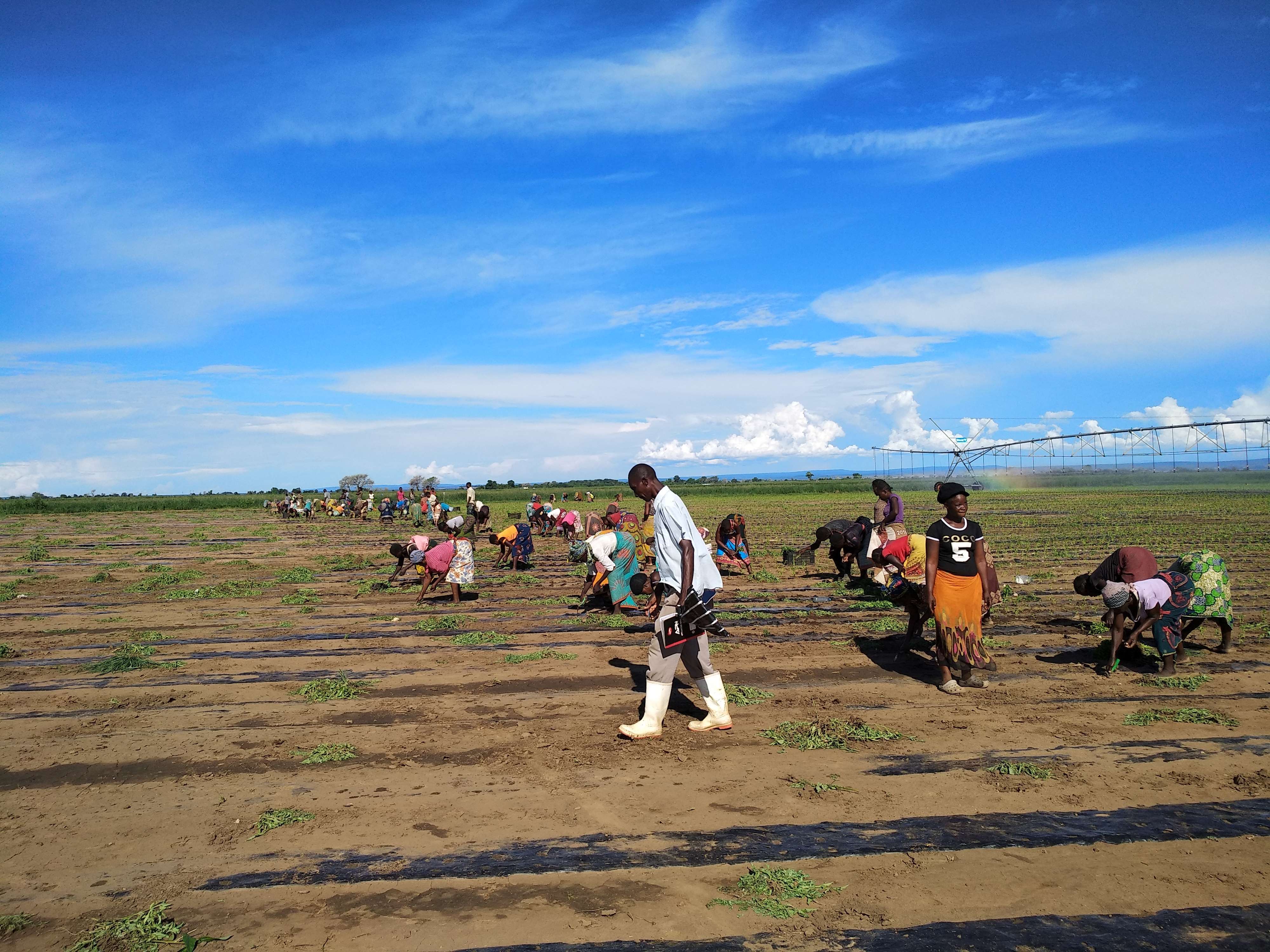 Join Chenguang and learn about Africa