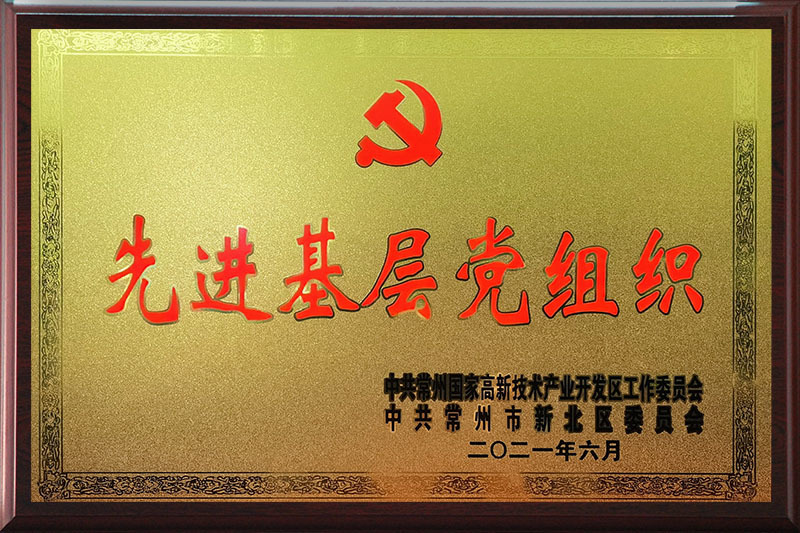 2021先进基层党组织