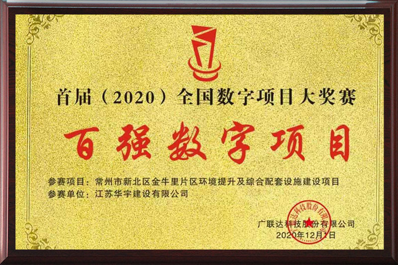 2020百强数字项目