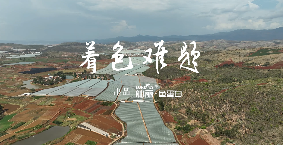 《甜蜜事業(yè)》著色難題