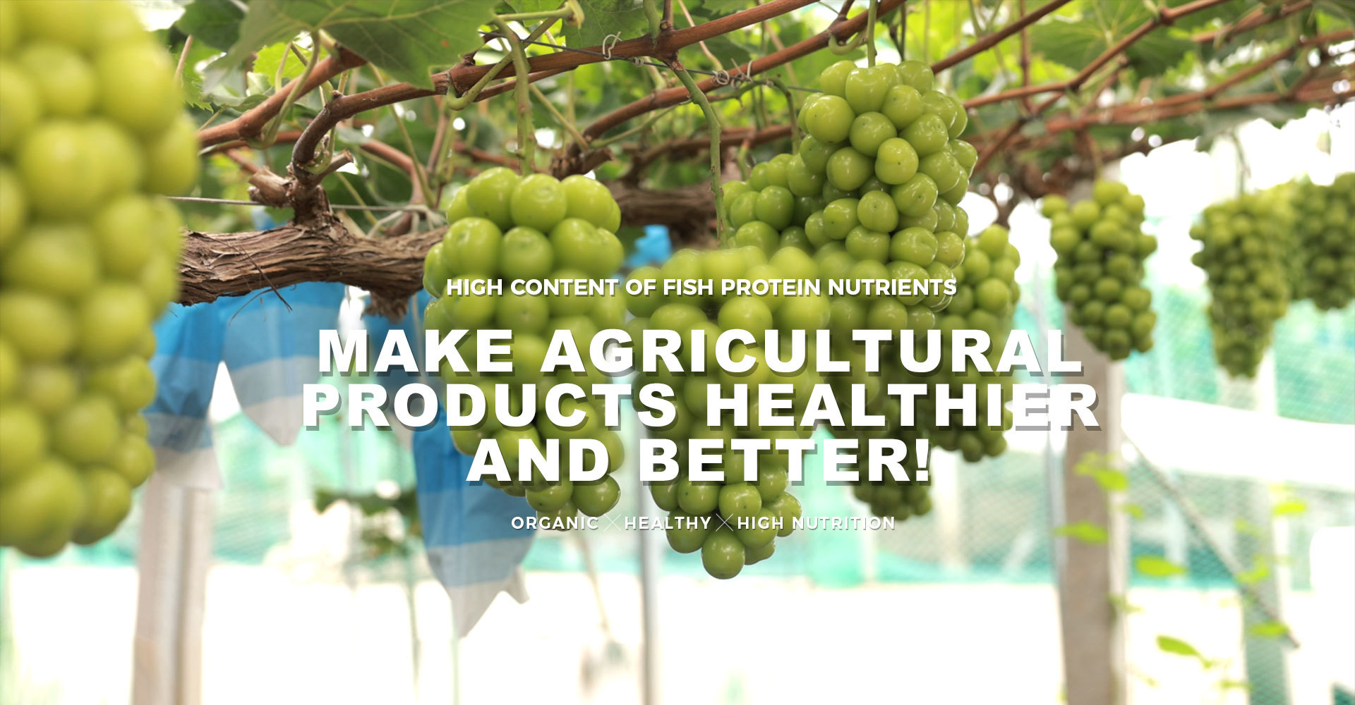 fengyu-sanli-water-soluble-fertilizer-fish-protein-fertilizer