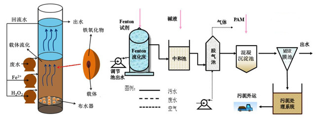中科莘陽 中科莘陽