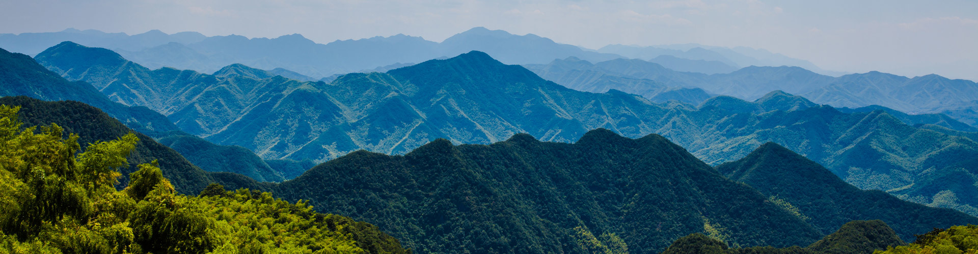 應用案例