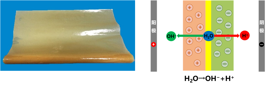 雙極膜