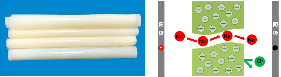 均相離子交換膜