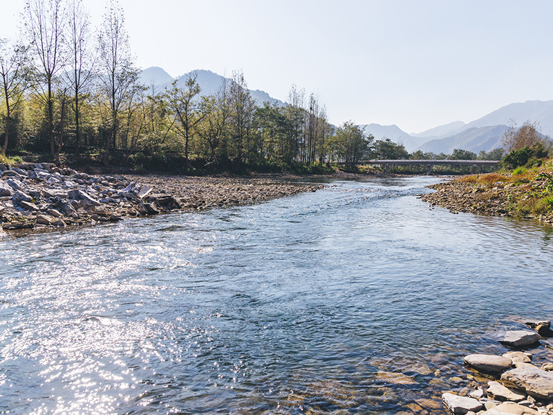 River Survey