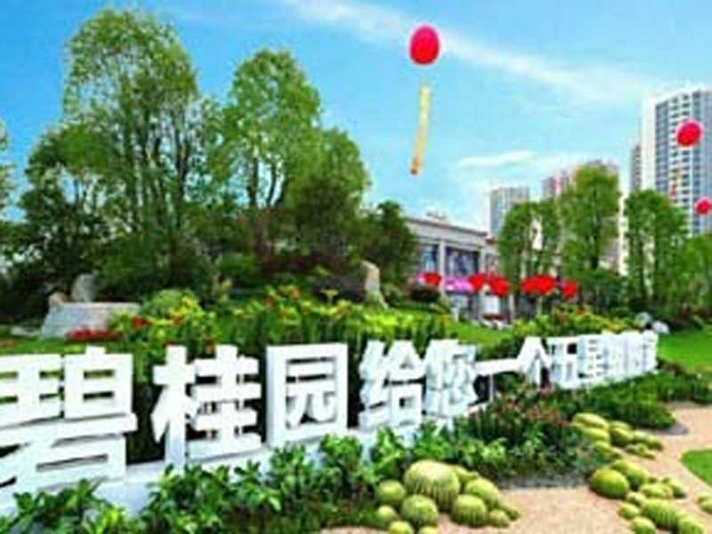 碧桂園天璽灣
