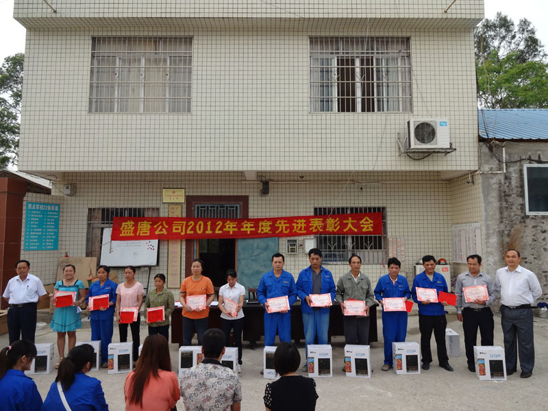 盛唐公司2012年年度先進表彰大會評優評先
