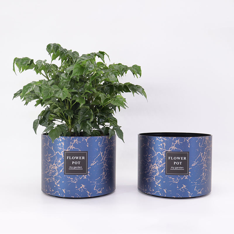 Flowerpot 6inch (Φ16.5*h12.5cm)