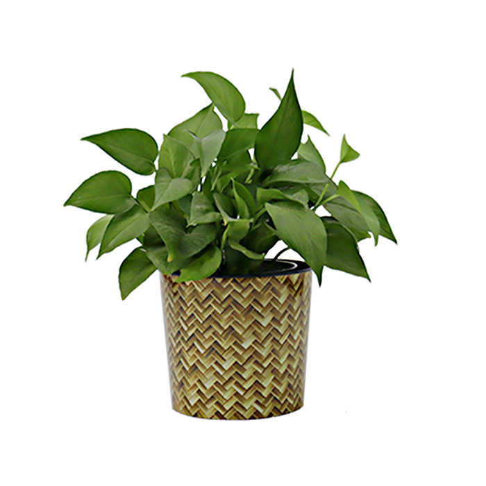 Flowerpot 6inch (13.7*15.5cm*12.3cm)