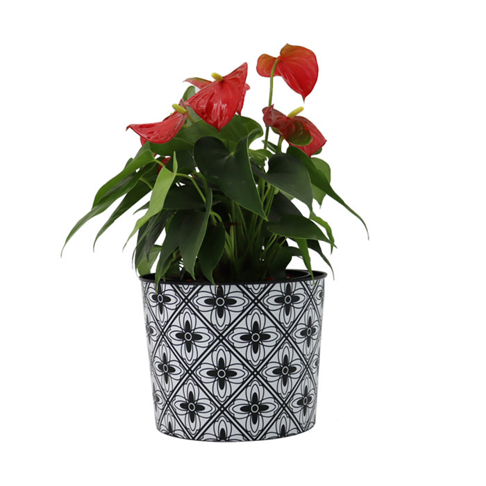 Flowerpot 6inch (13.7*15.5cm*12.3cm)