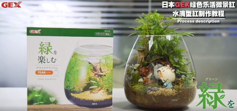 日本GEX-水滴型微景缸造景