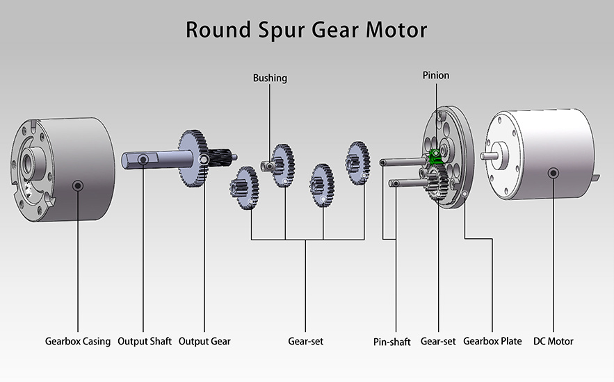 Round DC Spur Gear Motor Structure