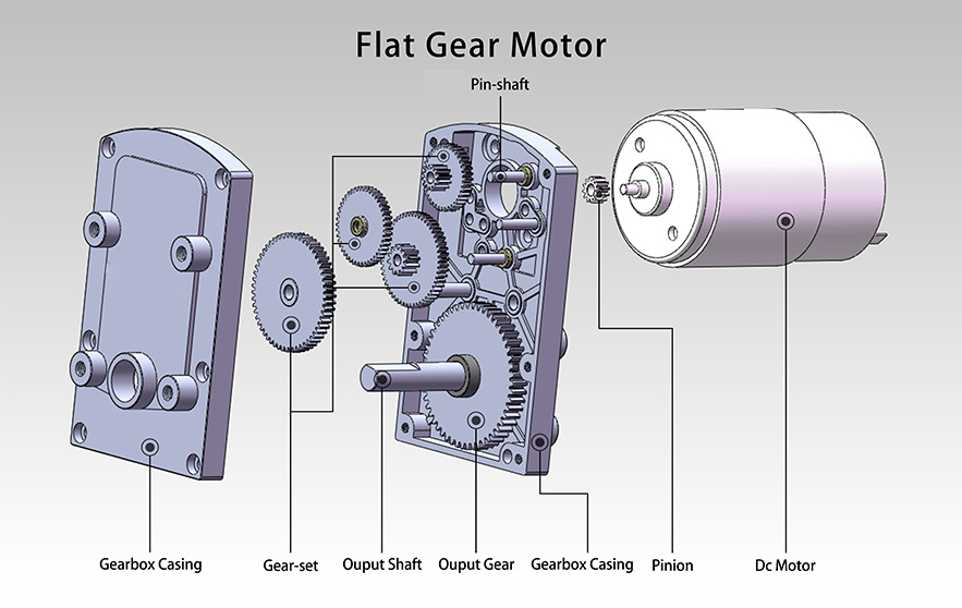 Flat DC Spur Gea Motor Structure