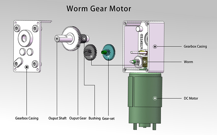 The Structure of DC Worm Gear Motor