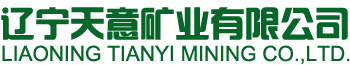 天意礦業(yè)