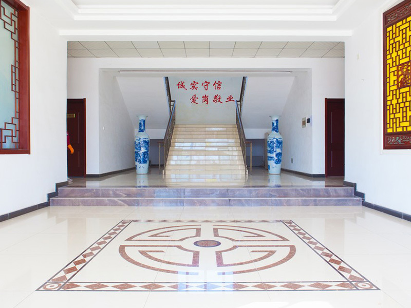 公司环境