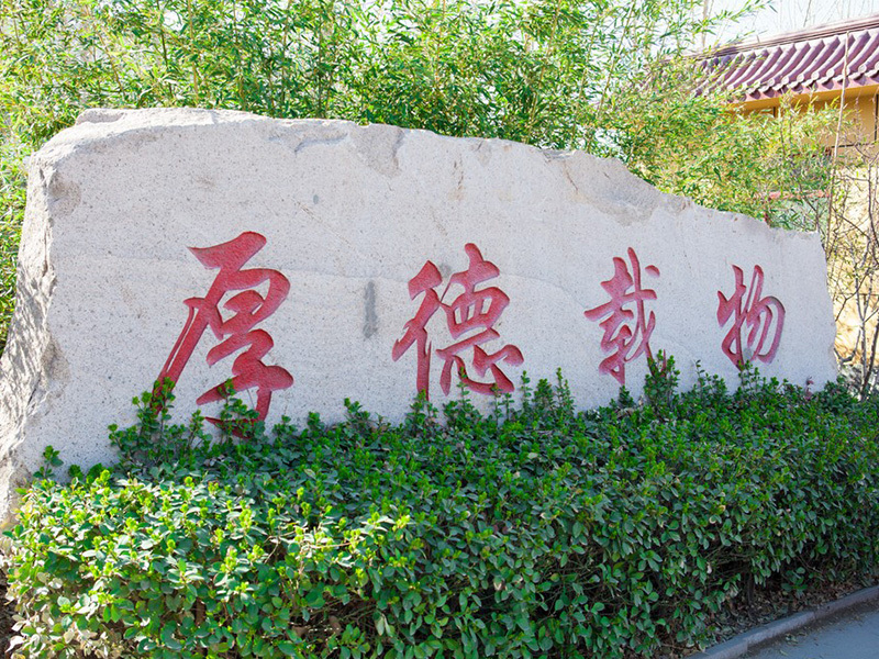 公司环境