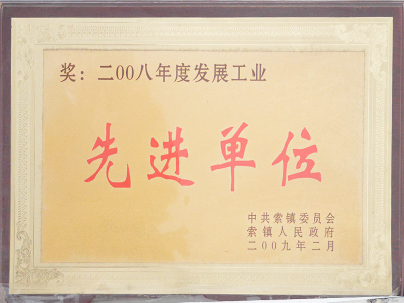 2008年度發(fā)展工業(yè)先進單位