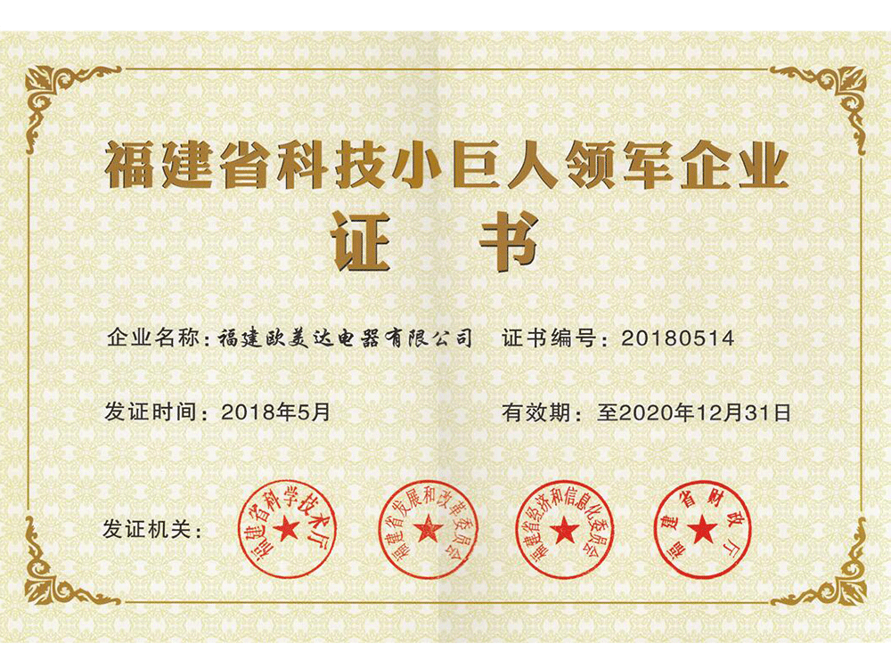 Little Giant Enterprise Certificate Little Giant Enterprise Certificate