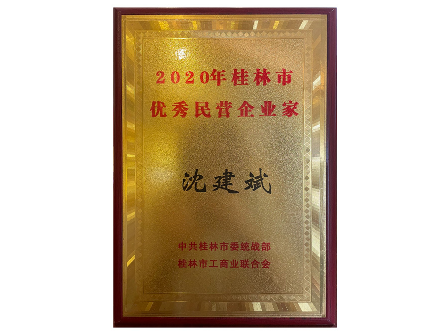 2020年桂林市優秀民營企業家