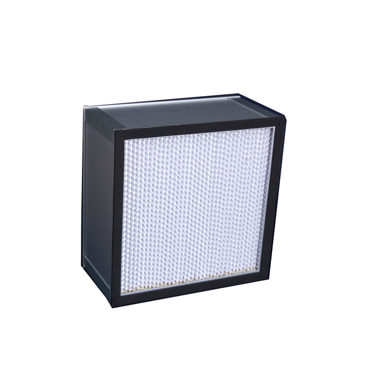 HEPA Filter With Separator