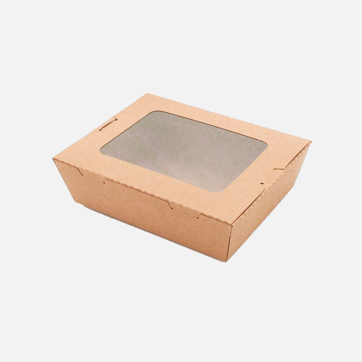 Fenster Lunchbox